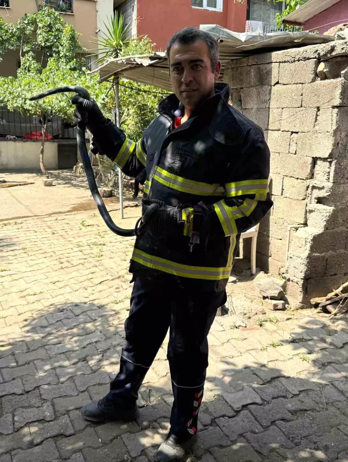 Hatay’ın Payas ilçesinde bir evin içine giren yılan, itfaiye ekiplerinin