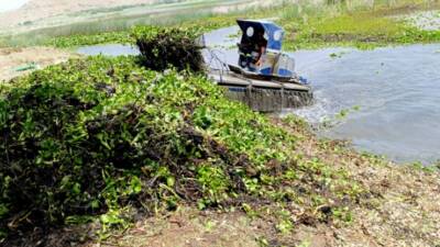 Hatay’ın önemli sulak alanlarından biri olan Gölbaşı Gölü’nde, doğal yaşamı