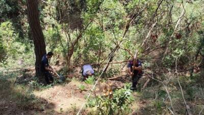 Hatay’ın Erzin ilçesinde ormanlık alanda dengesini kaybederek uçuruma yuvarlanan bir