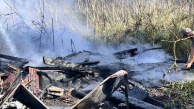   Hatay’ın İskenderun ilçesinde, deniz kıyısında bulunan bir barakada çıkan