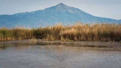 Hatay’ın Samandağ ilçesindeki Milleyha Sulak Alanı, kuraklık tehdidinin ardından yeniden