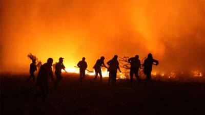   Hatay’da etkili olan orman yangınlarıyla mücadele sürerken, yalnızca devlet