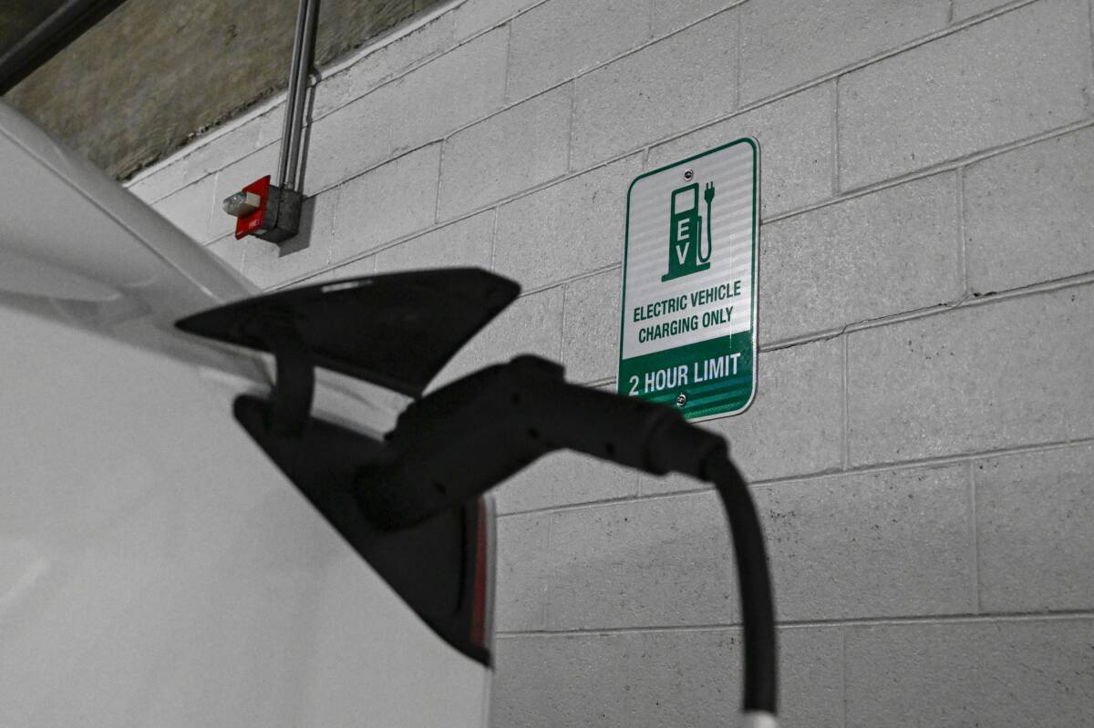 İngiltere merkezli Rho Motion araştırma kuruluşunun verilerine göre, 2025 yılının