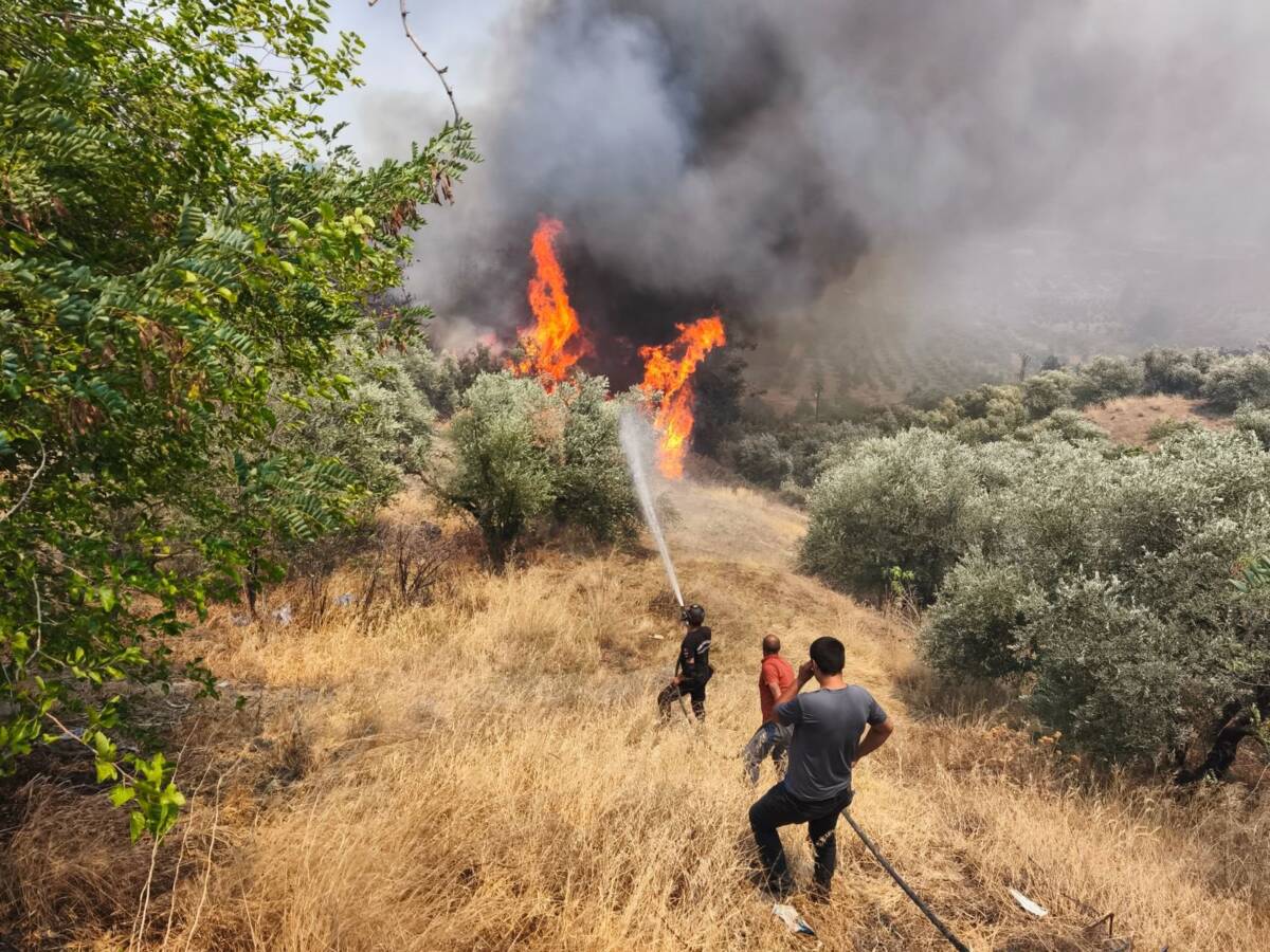 Hatay’da iki gün boyunca süren ve kentin farklı noktalarında büyük
