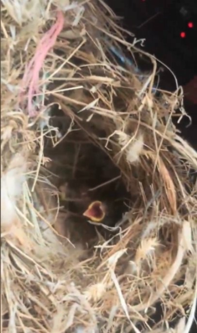 &nbsp; Hatay’ın Antakya ilçesine bağlı Karaali Mahallesi’nde çıkan orman yangınına