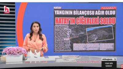 Hatay’da çıkan yangın sonrası doğa ağır yara alırken, yaşanan felaketin