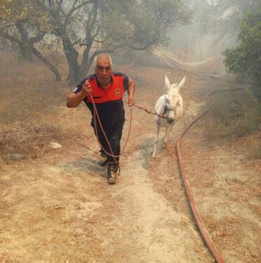Antakya-Serinyol hattı başta olmak üzere 6 yerleşim biriminde büyük zarara