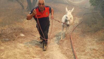 Antakya-Serinyol hattı başta olmak üzere 6 yerleşim biriminde büyük zarara