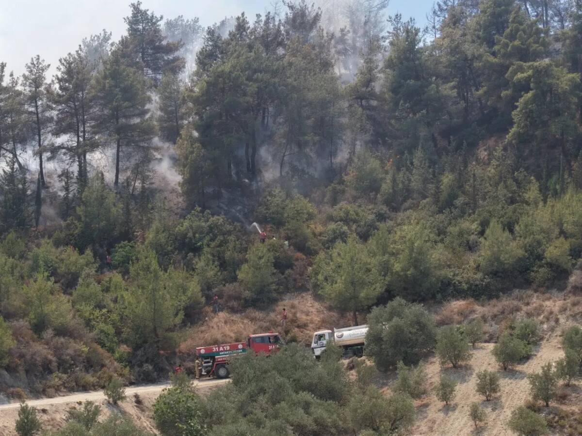 Antakya’da iki gün önce meydana gelen orman yangını felaketine, ilimizdeki