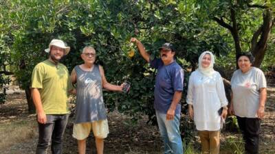 Doğu Akdeniz’in önemli narenciye üretim merkezlerinden biri olan Hatay’ın Dörtyol