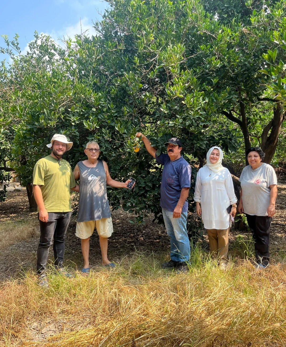 Doğu Akdeniz’in önemli narenciye üretim merkezlerinden biri olan Hatay’ın Dörtyol