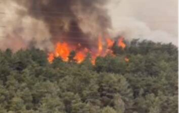 Hatay’ın Antakya ilçesine bağlı Alahan Mahallesi’nde dün başlayan orman yangını,