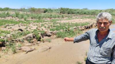 Hatay’ın Erzin ilçesine bağlı Turunçlu Mahallesi’nde hayvancılıkla uğraşan Cumali Gök,