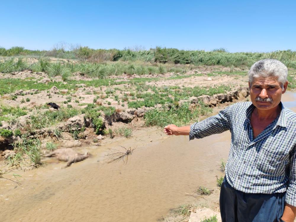 Hatay’ın Erzin ilçesine bağlı Turunçlu Mahallesi’nde hayvancılıkla uğraşan Cumali Gök,
