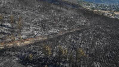 Hatay’ın merkez ilçesi Antakya’ya bağlı Karaali Mahallesi’nde iki gün önce