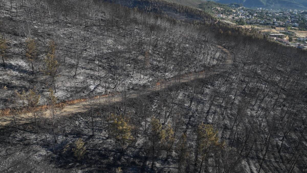 Hatay’ın merkez ilçesi Antakya’ya bağlı Karaali Mahallesi’nde iki gün önce