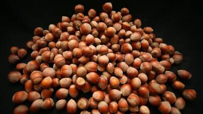 Türkiye, 2025 yılının ilk 6 ayında gerçekleştirdiği fındık ihracatıyla ekonomisine