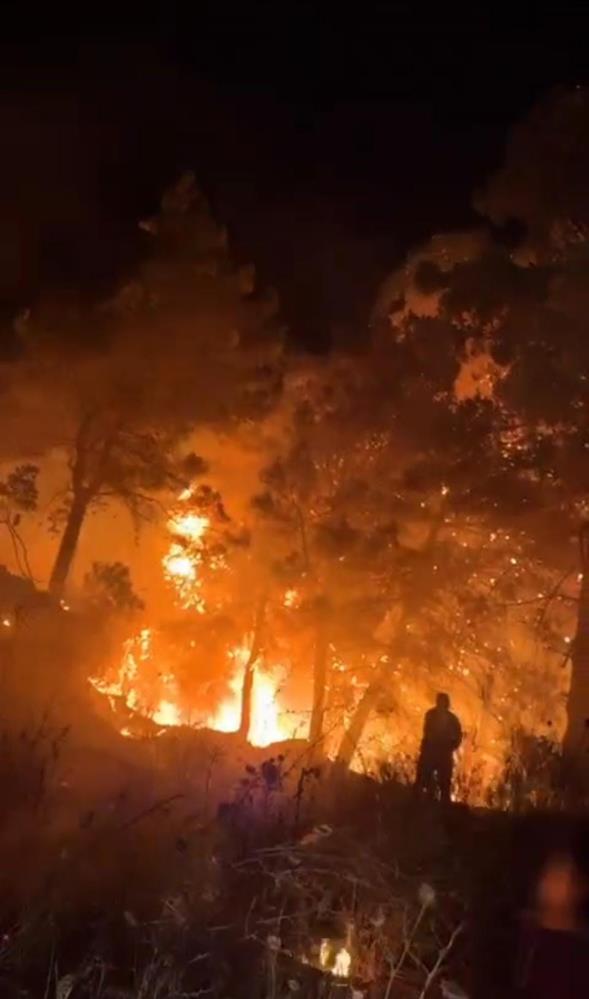 Hatay’ın Samandağ ilçesinde çıkan orman yangını, ekiplerin hızlı müdahalesi sayesinde