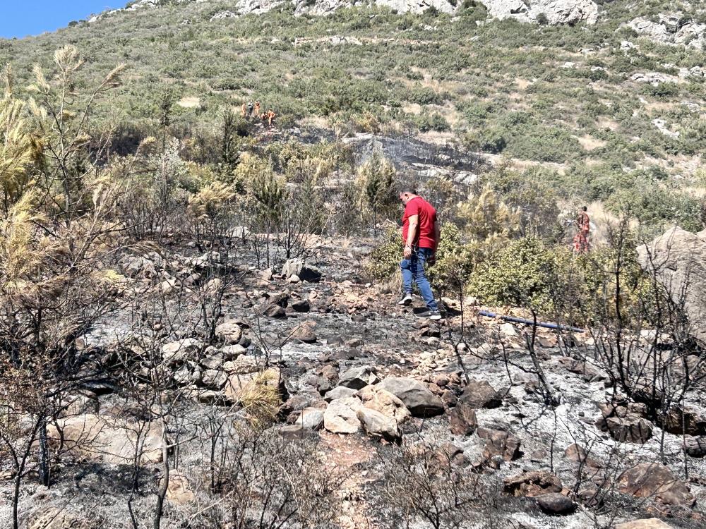 Hatay’ın İskenderun ilçesine bağlı Aşkarbeyli Mahallesi yakınlarındaki ormanlık alanda çıkan