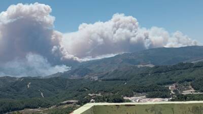 Suriye’nin Lazkiye bölgesinde başlayan ve günlerdir kontrol altına alınamayan orman