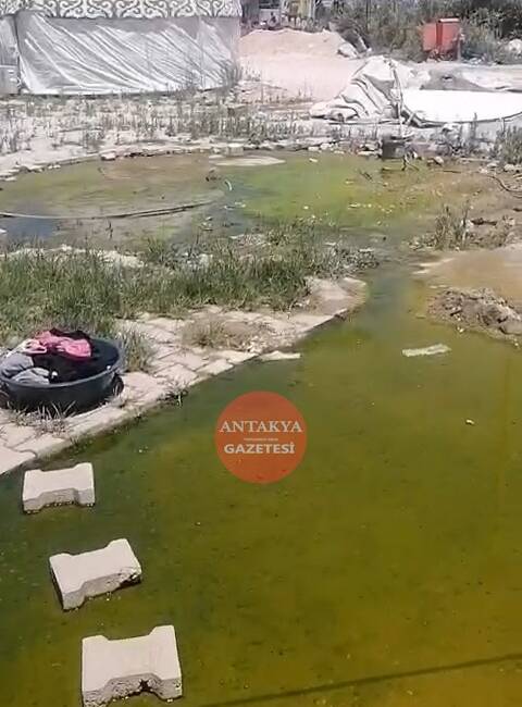 Defne ilçesine bağlı Koçören Mahallesi’nde kurulu Etnospor Dayanışma Obası’nda yaşam