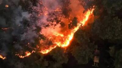 Suriye’nin Lazkiye kentindeki Bayırbucak bölgesinde altı gündür süren orman yangını