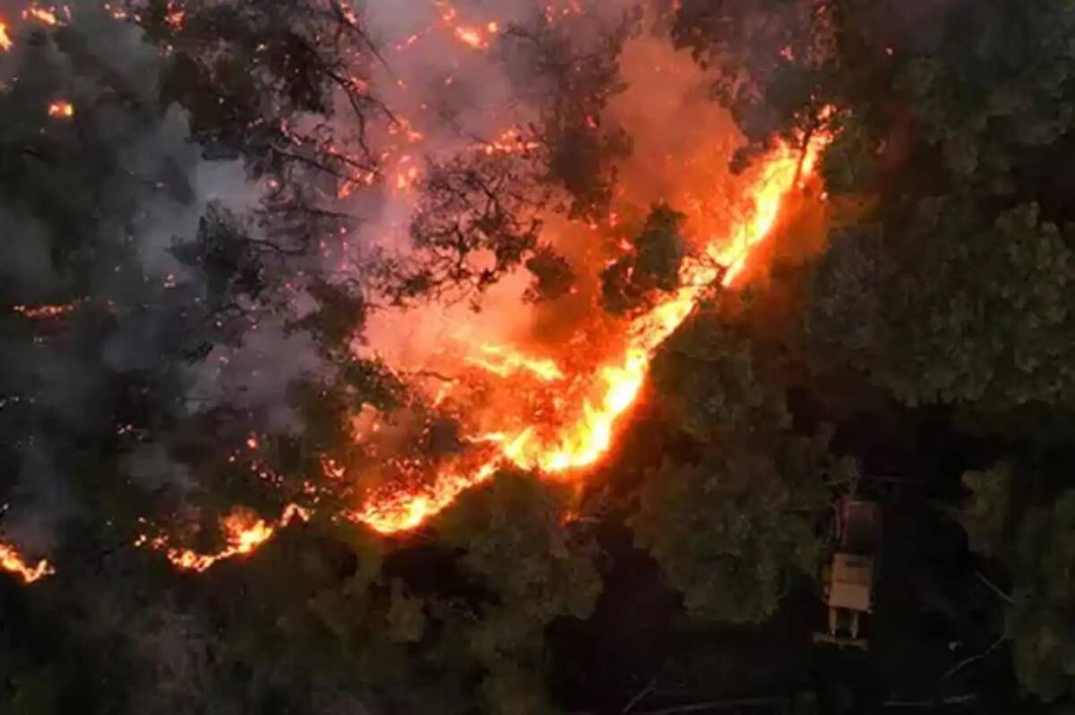 Suriye’nin Lazkiye kentindeki Bayırbucak bölgesinde altı gündür süren orman yangını
