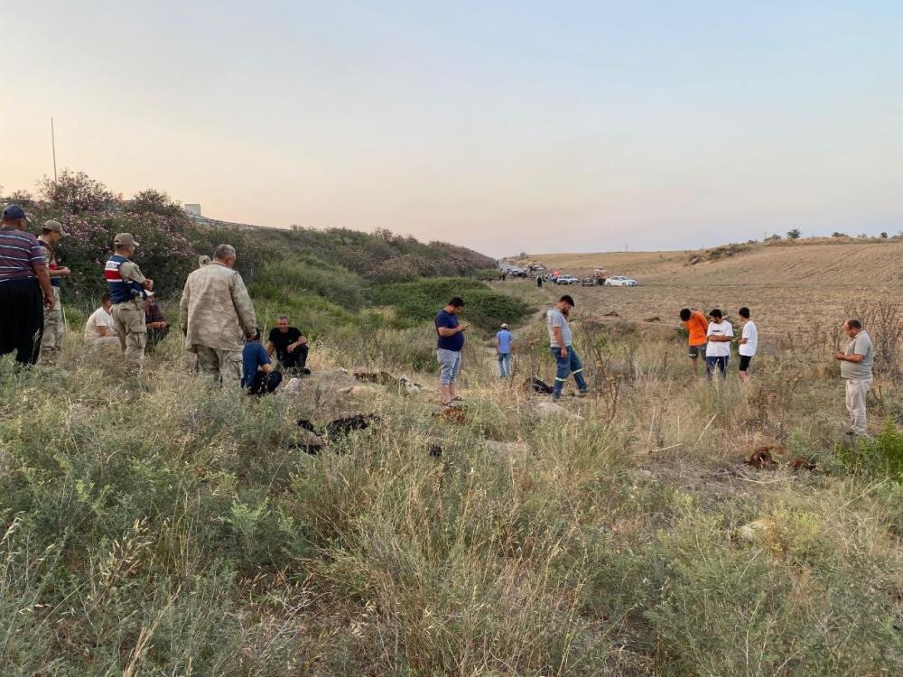 Hatay’ın Erzin ilçesinde hayvancılıkla uğraşan Hasan Öz, dere suyundan içen