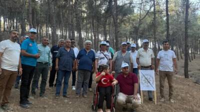 Kırıkhan’da köy evleri yapımı gerekçesiyle mesire alanında gerçekleştirilen ağaç kesimine