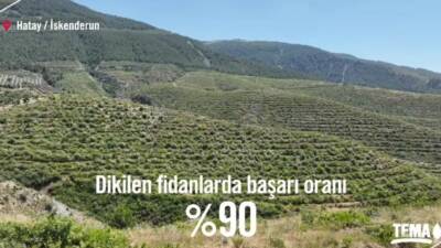 İskenderun’da 2020 yılının Ekim ayında çıkan orman yangını, yaklaşık 700