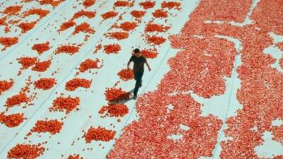 Türkiye, 98. Oscar Ödülleri’nde ‘En İyi Uluslararası Film’ dalında yarışacak