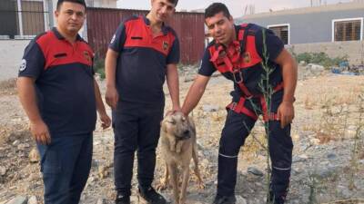 Antakya’nın Narlıca Mahallesi’nde 10 metre derinliğindeki bir kuyuya düşen köpek,
