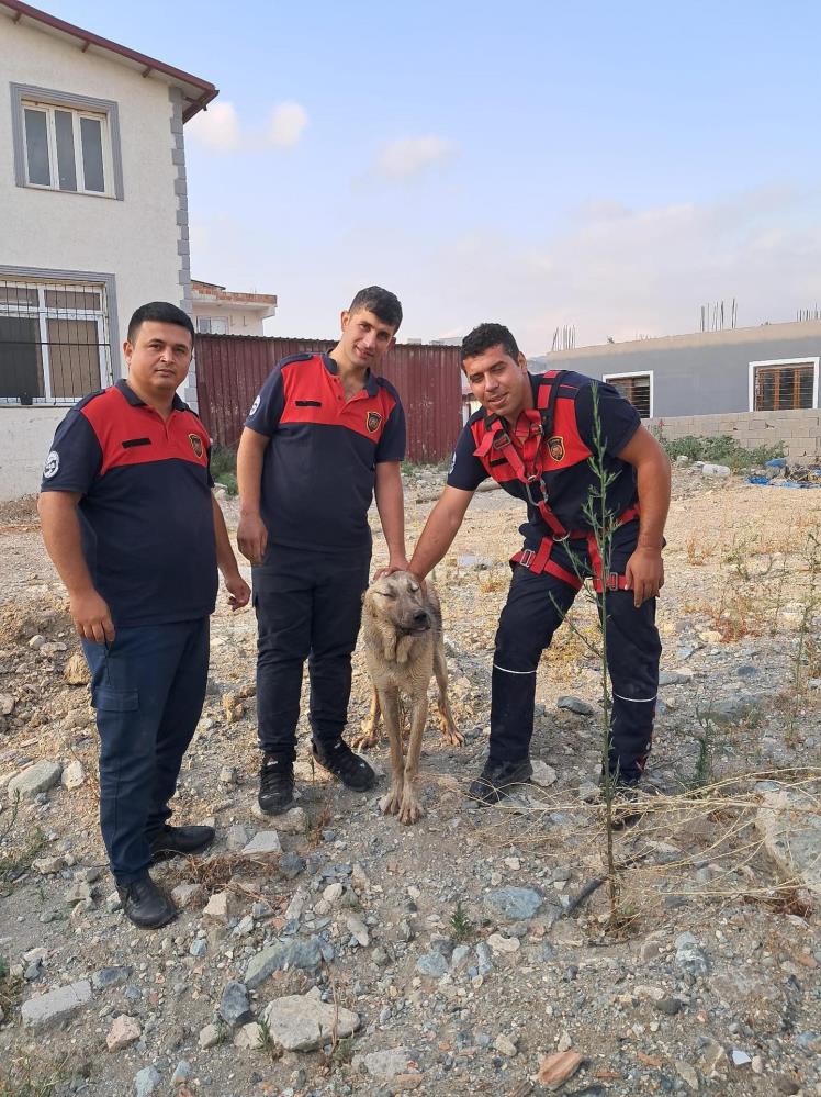 Antakya’nın Narlıca Mahallesi’nde 10 metre derinliğindeki bir kuyuya düşen köpek,