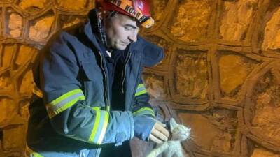 Hatay’ın Antakya ilçesinde bir yavru kedi, iki duvar arasına sıkışarak