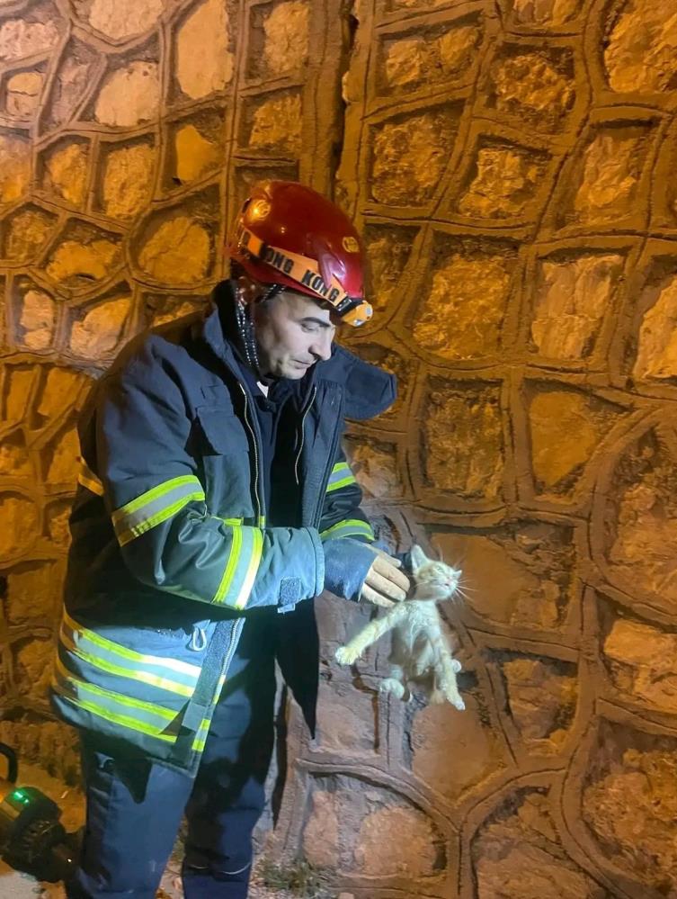 Hatay’ın Antakya ilçesinde bir yavru kedi, iki duvar arasına sıkışarak