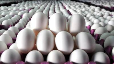 Tarım ve Orman Bakanlığı, yumurta israfının önüne geçmek ve AB