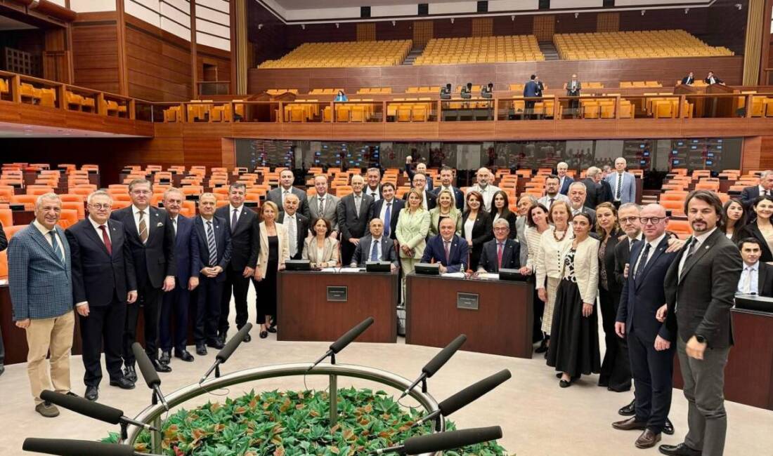 CHP Hatay Milletvekili Nermin Yıldırım Kara, Türkiye Büyük Millet Meclisi’nin