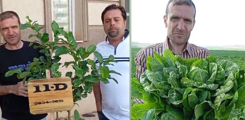 Hatay’ın Reyhanlı ilçesinde yaşayan genç girişimci Oğuz Asiltürk, tarımda devrim