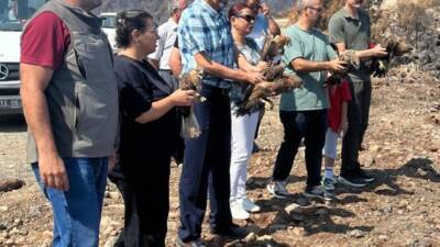 Hatay Mustafa Kemal Üniversitesi Veteriner Sağlık Uygulama ve Araştırma Hastanesi