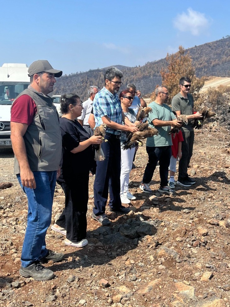 Hatay Mustafa Kemal Üniversitesi Veteriner Sağlık Uygulama ve Araştırma Hastanesi