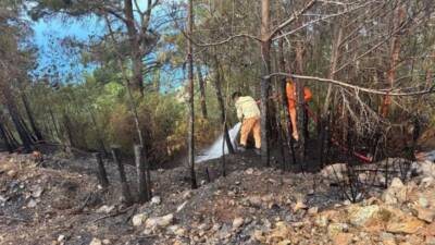 Hatay’ın Arsuz ilçesinde çıkan orman yangını, ekiplerin hızlı müdahalesiyle büyümeden