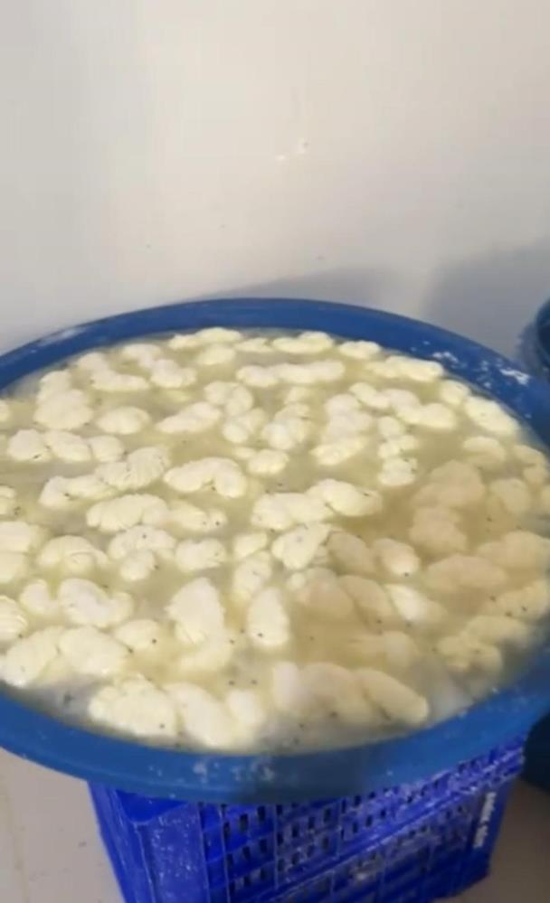 Hatay’ın Reyhanlı ilçesinde yapılan denetimlerde, insan sağlığını tehdit edecek şekilde