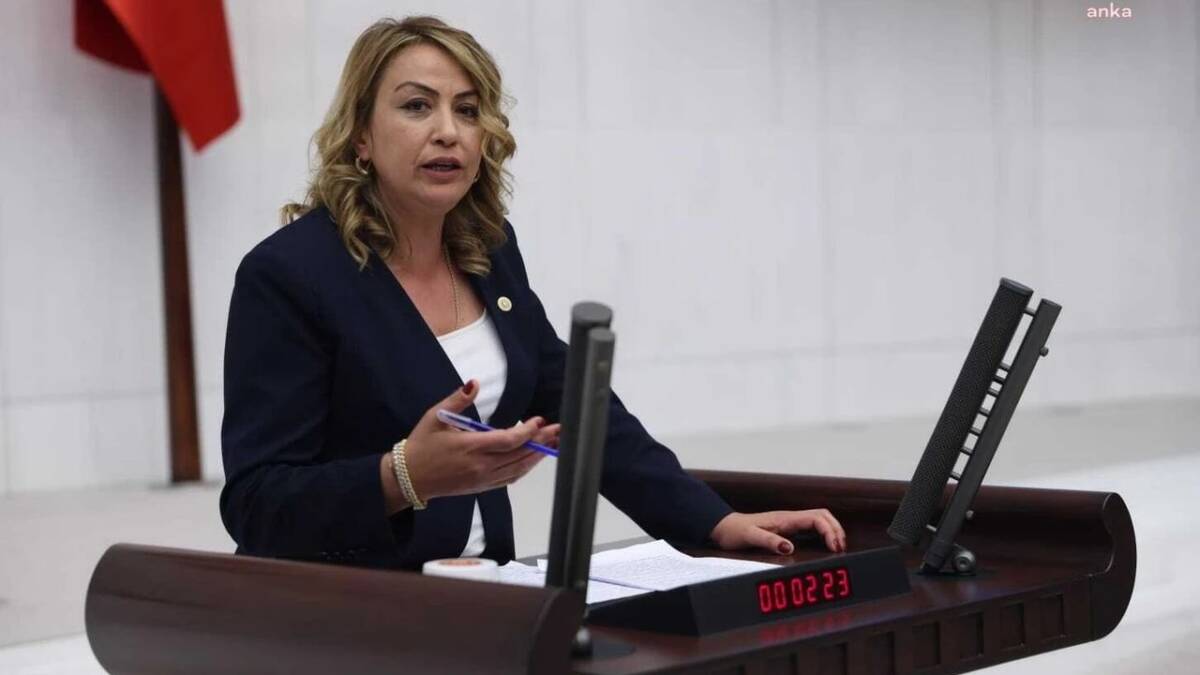 CHP Hatay Milletvekili Nermin Yıldırım Kara, Türkiye Büyük Millet Meclisi’nde