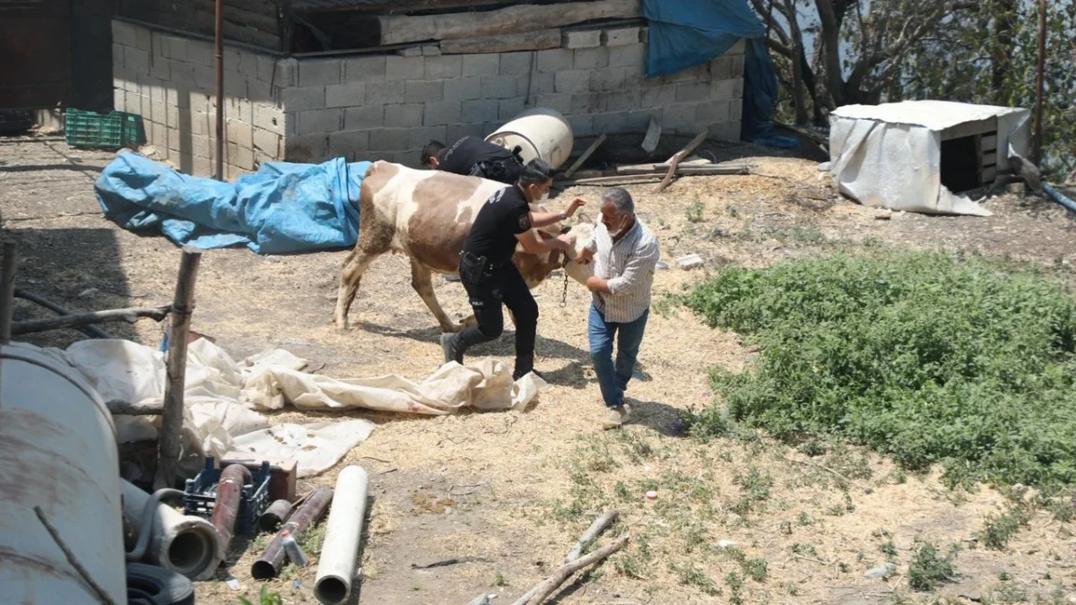 Hatay’daki orman yangınları devam ederken, bölge halkı hem kendi imkanlarıyla