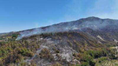 Hatay’ın Dörtyol ilçesinde dün öğle saatlerinde başlayan orman yangını sabahın