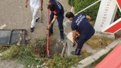 Hatay’ın İskenderun ilçesinde, Denizciler Mahallesi’nde yaşanan olayda yavru bir kedi,