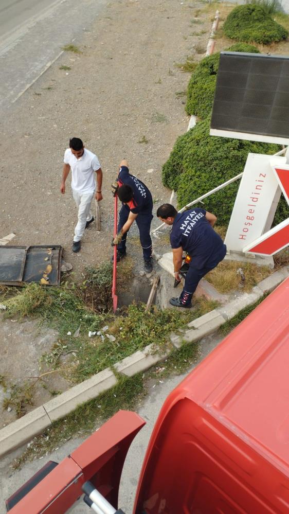 Hatay’ın İskenderun ilçesinde, Denizciler Mahallesi’nde yaşanan olayda yavru bir kedi,