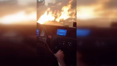 Hatay’ın Antakya ilçesinde günlerdir devam eden orman yangını sırasında Oğlakören