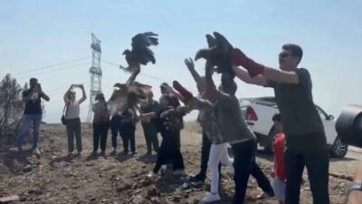 Hatay'da çeşitli nedenlerle yaralanan kartal, şahin, kerkenez ve baykuş gibi