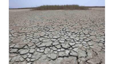 Hatay’ın Samandağ ilçesinde bulunan ve Türkiye’nin en önemli sulak alanlarından